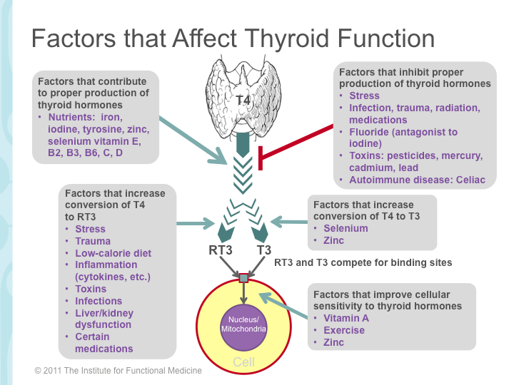 4 Factors that affect thyroid